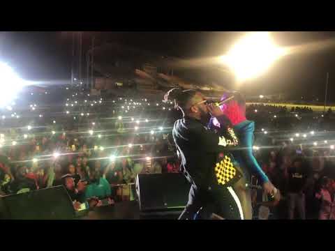 STYLO G+SPICE+SP LIVE PERFORMANCE BUMPLIN