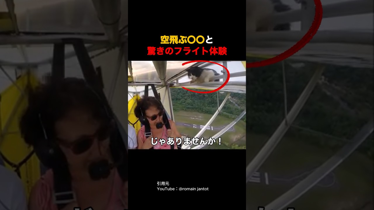 【驚き】シートベルトなしで空飛ぶ...