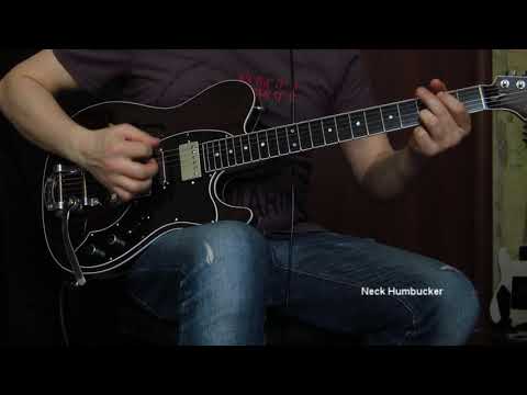 Alexander Polyakov Instruments Custom T