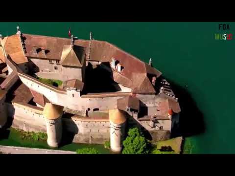 P Lion - Happy Children BY FGA  two versions