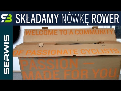Produkty dla objętości włosów czystej linii Jak używać olej migdałowy opinii włosów