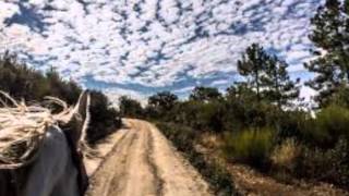 MI RANCHITO   VICENTE FERNANDEZ ILUSTRADO mp3