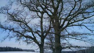 Nights in white satin - WAYNA PICCHU