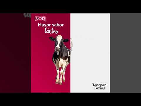 RICHS Digital Marketing Makken