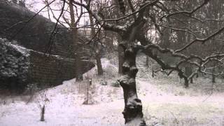 Choir of Kings College Cambridge.    Jesus Christ   The Apple Tree