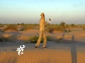 Taiji Bailong Ball around the World
