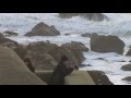 Storm Barney Dorset