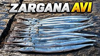Zargana Avı | Kesintisiz Aksiyon