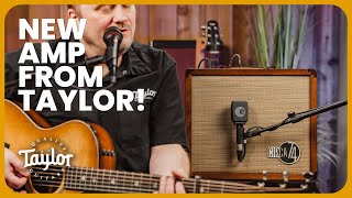 Video thumbnail for Circa 74 Amp: Taylor’s Acoustic & Vocal Performance Amp by Tarpley Music