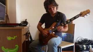 While My Guitar Gently Weeps - solos