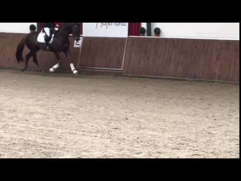 Fritz Santinus , 4 jr. Gekörter Franziskus  Sohn