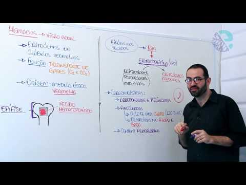 Hemácias: visão geral