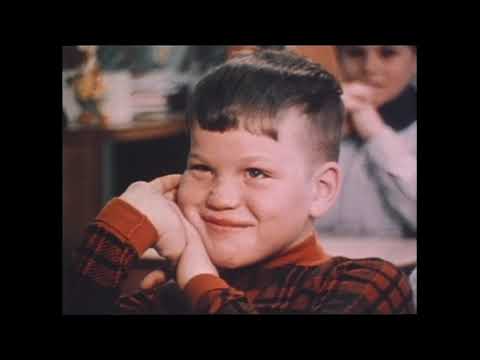 A Class Divided - Brown Eyes Blue Eyes Experiment