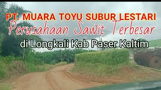 Download lagu PT MUARA TOYU SUBUR LESTARI PERUSAHAAN SAWIT TERBESAR DI KECAMATAN LONG KALI KAB PASER PROP KALTIM mp3