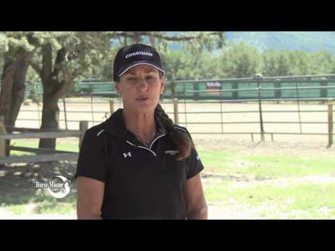 Keeping Your Young Horse's Joints Healthy
