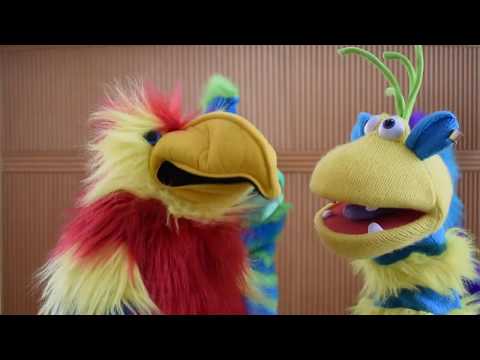 Cutiuta Muzicala - Hapciu-Hapciu (Official Video)