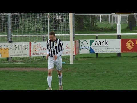 Beelden silvolde-Hollandia