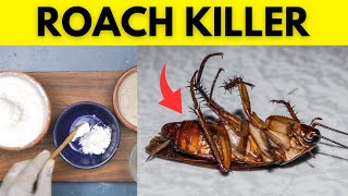 Kill Roaches with Baking Soda and Sugar  Simple and Effective DIY Pest Control