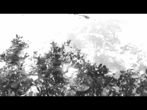 Sara Masterson - Lost + Found