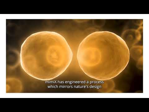 MimiX presents CymatiX