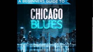 Lowell Fulson  ~  ''Tramp'' & ''You're Gonna Miss Me ( When I'm Gone )'' Live 1983