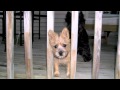 You Ve Got A Friend In Me Edit Mov