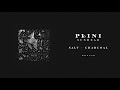 Plini - Salt + Charcoal (Audio)