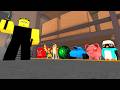 Pet Hide and Seek in Murder Mystery 2!