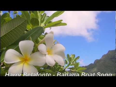 Download Banana Boat Song Ringtone Mp3 Mp4 Free All - Nola Amaria