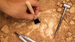 Mundo Mágico - O mundo mágico da Arqueologia
