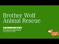 How Brother Wolf Animal Rescue Raised $1M + 25k New Donors in One Week with Bloomerang