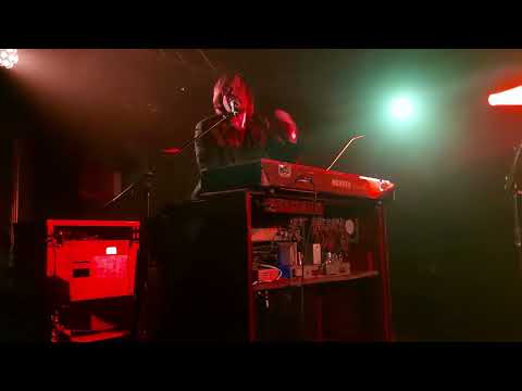 A woman -Lachy Doley Group