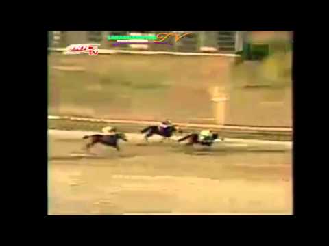 VALENCIA 11 CARRERA, VIERNES 13 DE MARZO DEL 2015