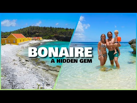 BONAIRE is CARIBBEAN'S #1 Hidden GEM! Travel Guide to Nature PARADISE