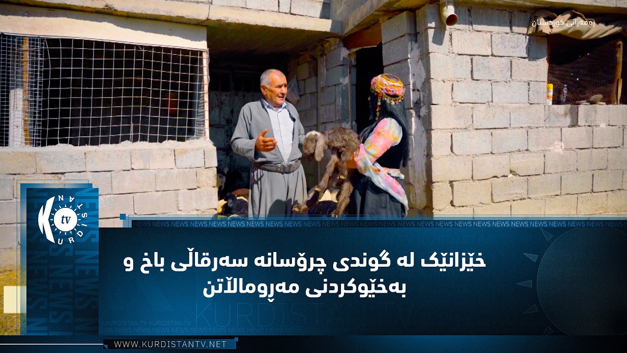 ڤیدیۆ | هەڵەبجە.. خێزانێک لە گوندی چرۆسانە سەرقاڵی باخ و بەخێوکردنی مەڕوماڵاتن