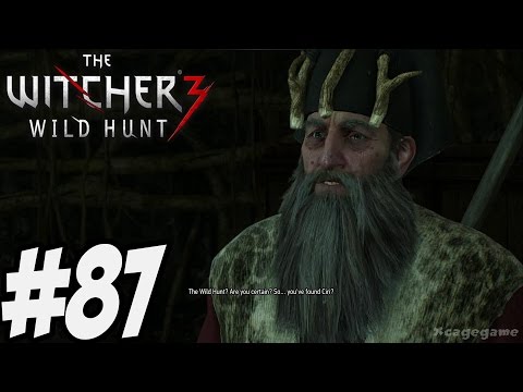 The Witcher 3 Wild Hunt - Gameplay Walkthrough Part 87 [ HD ]