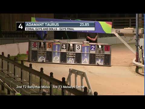 2020 CORAL GUYS & DOLLS - GUYS FINAL - T4 ADAMANT TAURUS