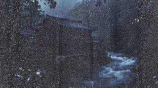 Heavy Rain Sounds for Sleeping 🌧️ Relaxing Forest Rain, Insomnia Relief & Deep Sleep, ASMR