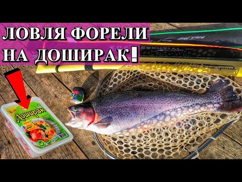 Ловля Форели на Доширак. Убойная приманка на Форель.