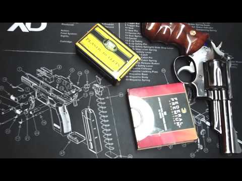 Speer plastic case and bullet practice ammo - cheap and reusable way to target practice at home