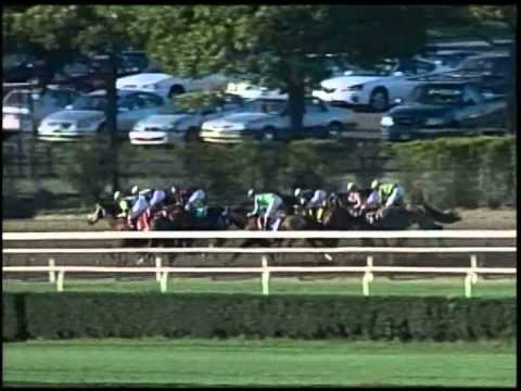 Borrego - 2005 Jockey Club Gold Cup (G1)
