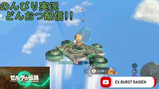どんおつ配信「ゼルダの伝説 ティアーズオブザキングダム」27