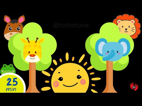 Fun Peekaboo Baby Sensory Video | Soothing High Contrast Animation with Animal Friends