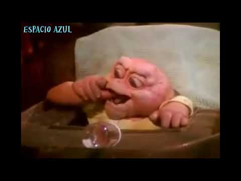 NN consentido se muerde la cola