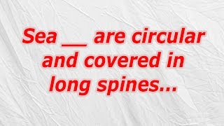 Sea are circular and covered in long spines (CodyCross Crossword Answer)