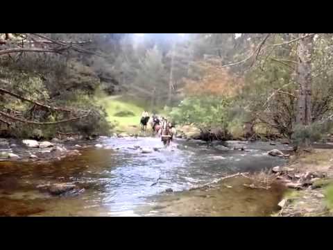 Video 6 de Sierra Del Guadarrama