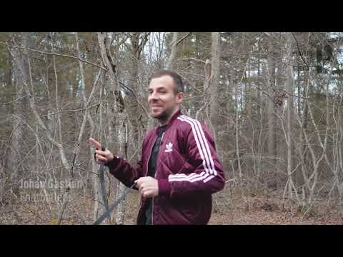 Cause animale - Johan Gastien