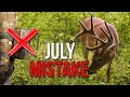 5 Deer Hunting Mistakes You Re Making Right Now