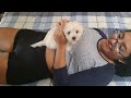The Puppy Tickles Mayra S Tummy