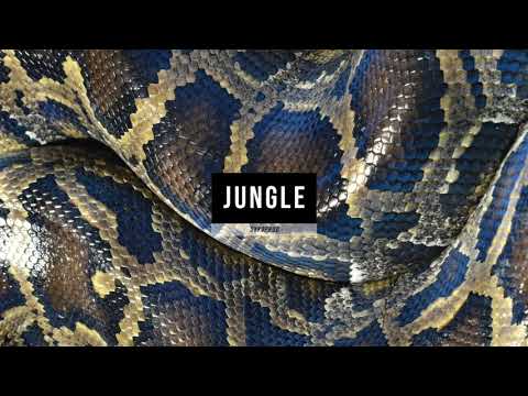 Hamza x OBOY x PLK type beat - Jungle (Prod. SYKOPROD)